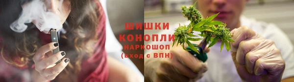 PSILOCYBIN Абдулино