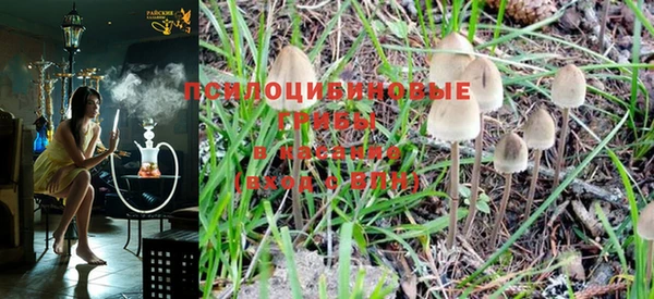 PSILOCYBIN Абдулино