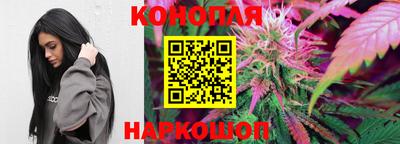молекула духа Лесосибирск