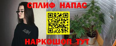 молекула духа Лесосибирск