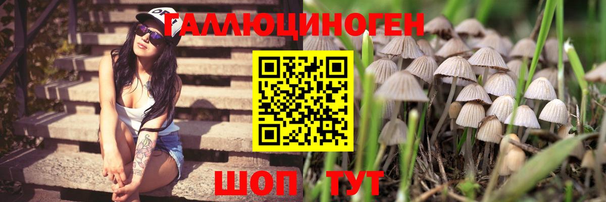 Галлюциногенные грибы прущие грибы  Вход с VPN  Ханты-Мансийск 